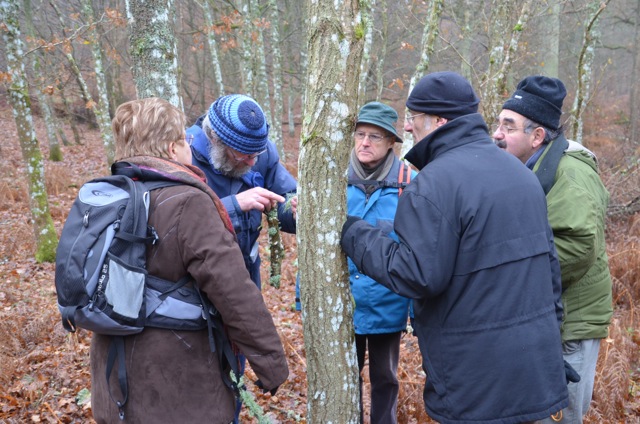 2011 12 A la découverte des lichens 28
